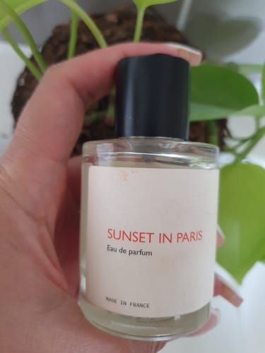 Customer photo review of Sunset in Paris