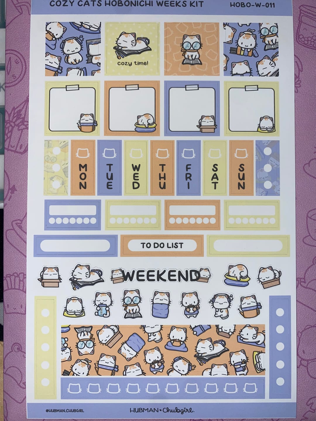 Customer photo review of Cozy Cats Theme Hobonichi Weeks Kit