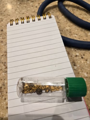 Customer photo review of *TROGO* Flawless '$5,000 GOLD NUGGET DISCOVERY' - Gold Panning Paydirt