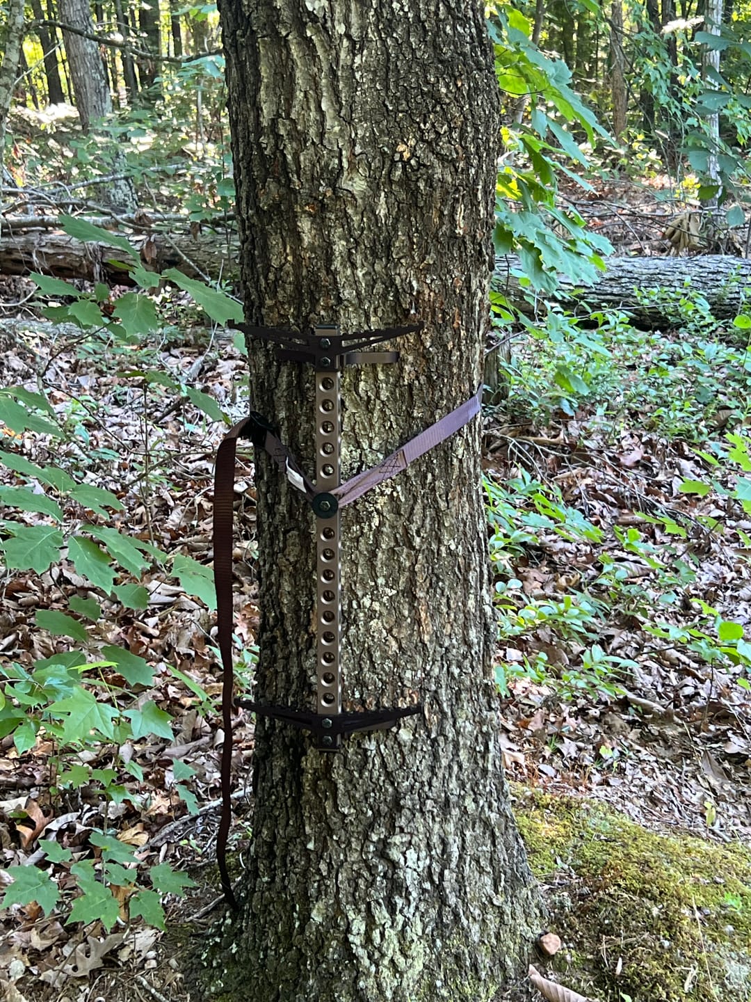 Customer photo review of 20" BEAST GEAR CLIMBING STICK