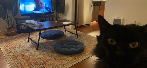 Customer photo review of Flycity Portable Folding Coffee Table With No Assembly Required