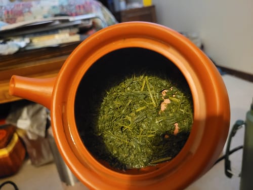 Customer photo review of Henta Sencha Saemidori