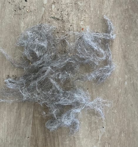 Customer photo review of IndigoPet Hair Removal Broom