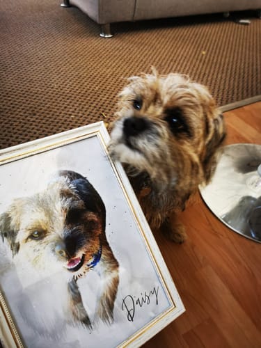 Customer photo review of WATERCOLOUR PET PORTRAIT (From Photo)