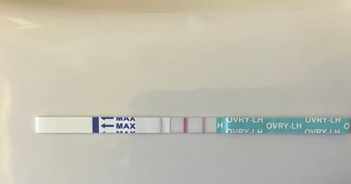 Customer photo review of Pregnancy Test Strips (Ultra-Sensitive)
