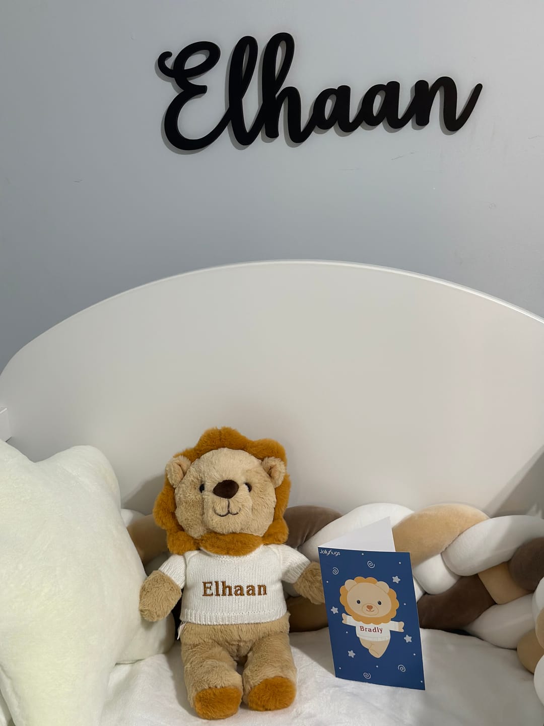 Customer photo review of Bradly the Lion - Personalized