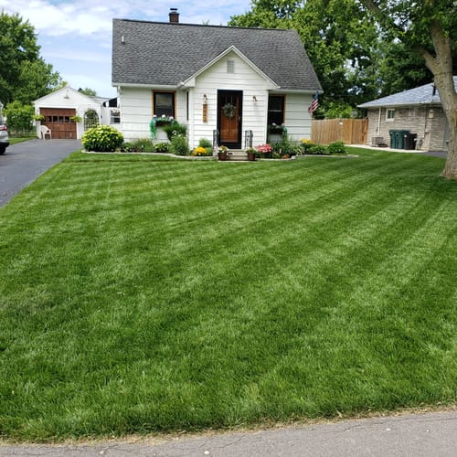 Customer photo review of N-Ext BioStimulant Package