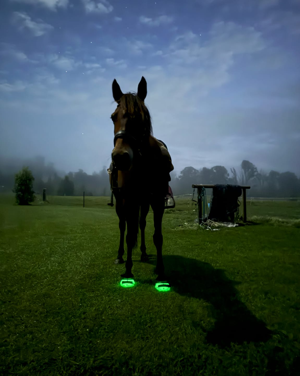Customer photo review of Renegade® Viper™ LE - Atomic GLOW