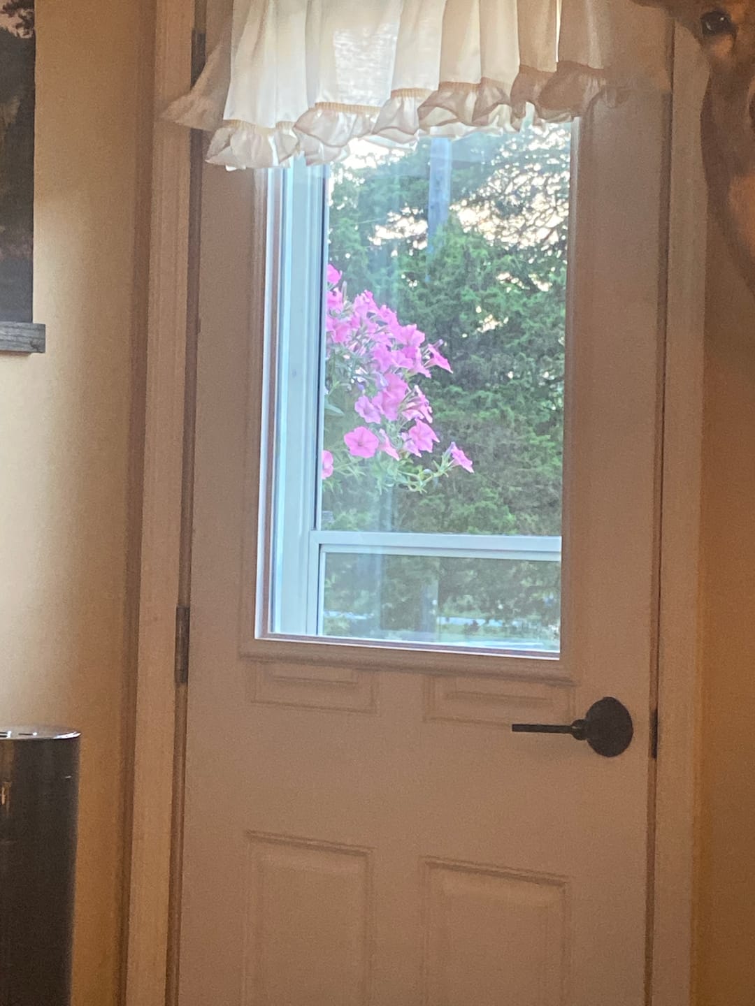 Customer photo review of Clear 1 Lite Glass and Frame Kit (Half Lite)