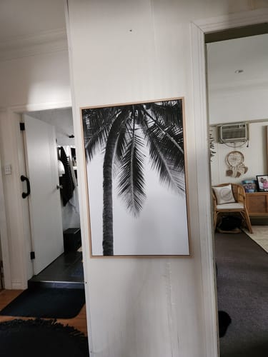 Customer photo review of In the Shade of the Palm