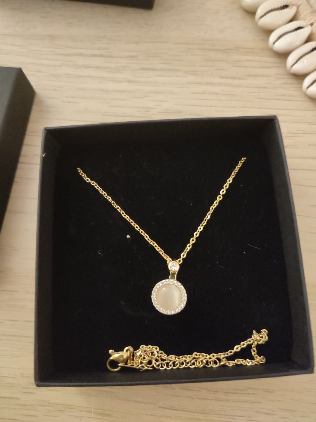 Customer photo review of The Moonstone