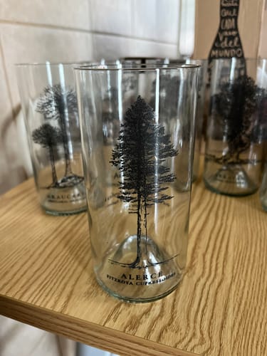 Customer photo review of Juego de 6 Vasos Árboles de Chile