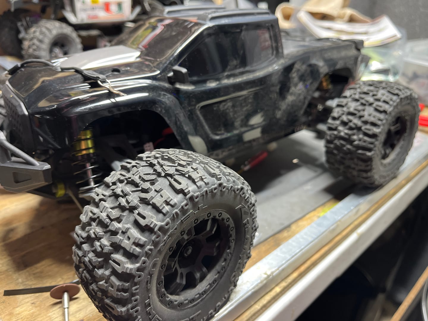 Customer photo review of RC Paddle Tires For RZ001