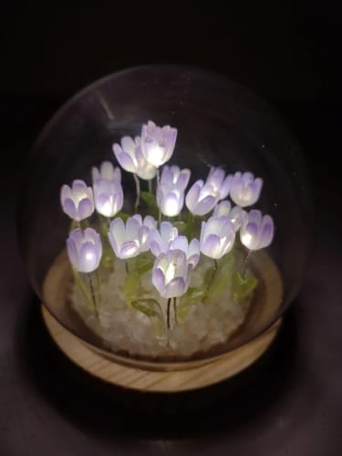 Customer photo review of Tulipball™️