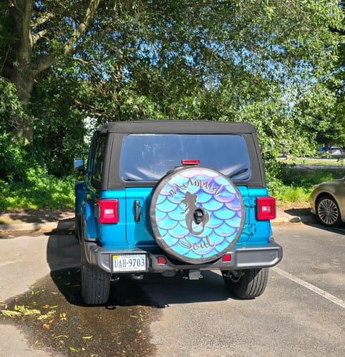 Customer photo review of Mermaid Soul Silhouette on Purple Turquoise Iridescent Mermaid Scales