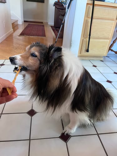 Customer photo review of USA Turkey Tendons