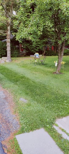 Customer photo review of Protene Performance Summer Fertilizer