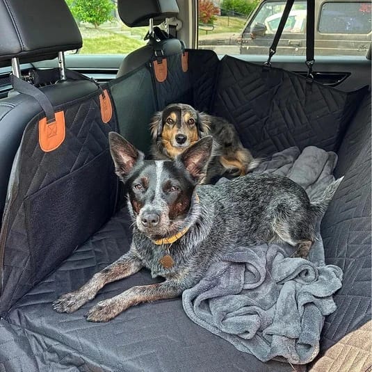 Customer photo review of Car Seat Cover with Hard Bottom