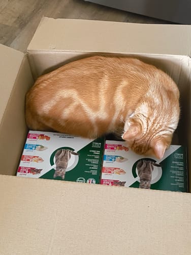 Customer photo review of Multipack d'effilés (chat stérilisé et chat adulte)