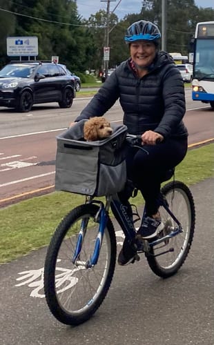 Customer photo review of All In One Pet Carrier Bag | Dog Bike Basket | Backpack for Dogs & Cats | Car Booster Seat