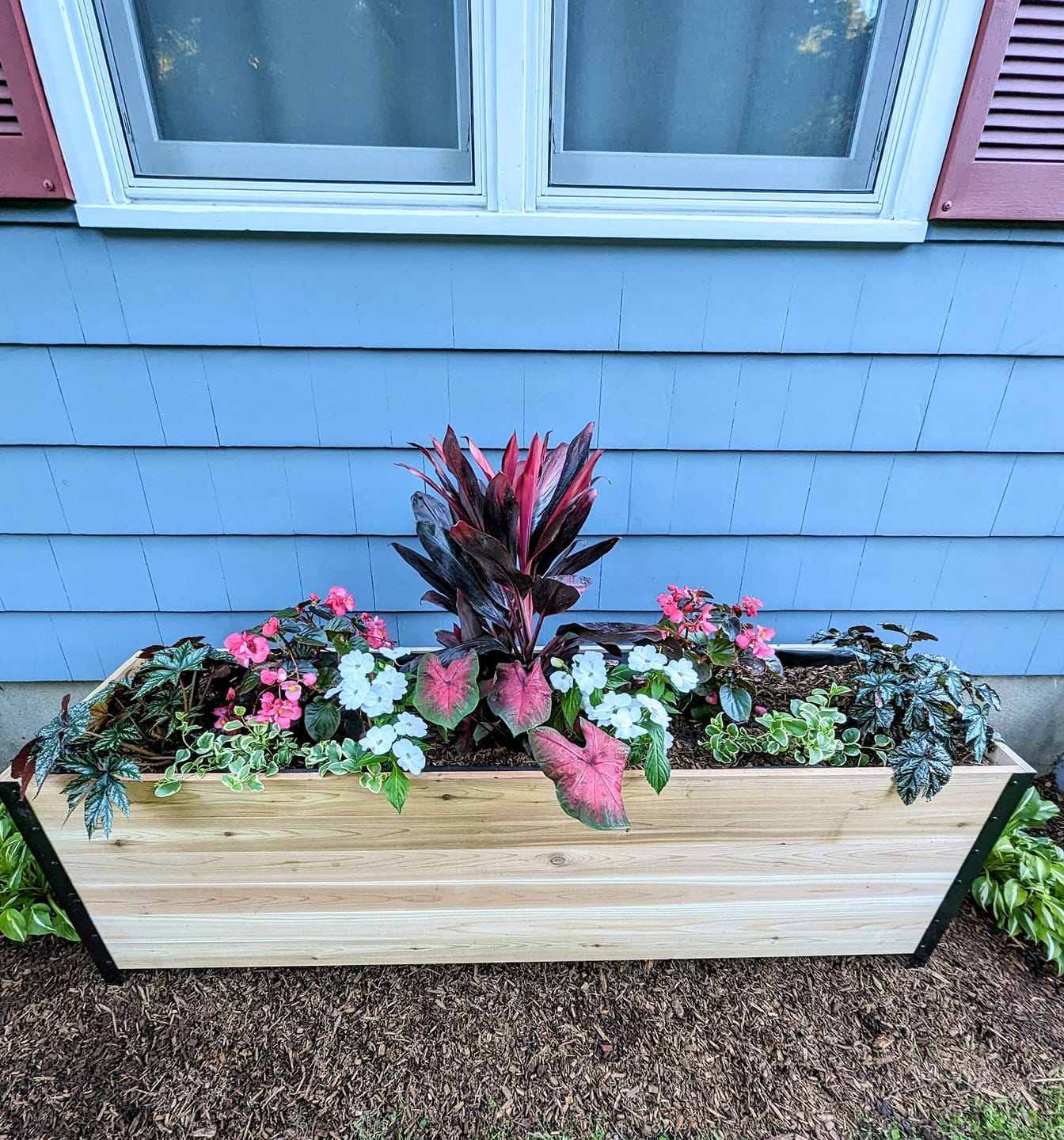 Customer photo review of 18" x 72" Planter Box - 24" Tall