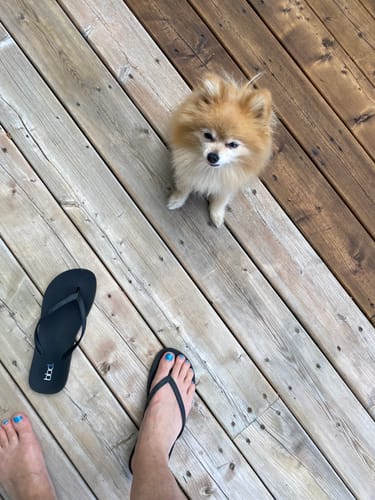 Customer photo review of Julune Flip Flop