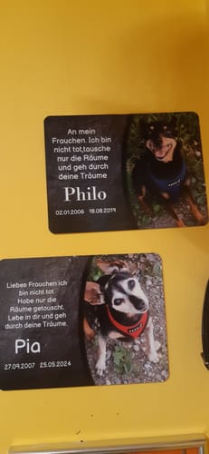 Customer photo review of Hunde Gedenktafel mit Foto & Spruch (UV- & Wetterfest)