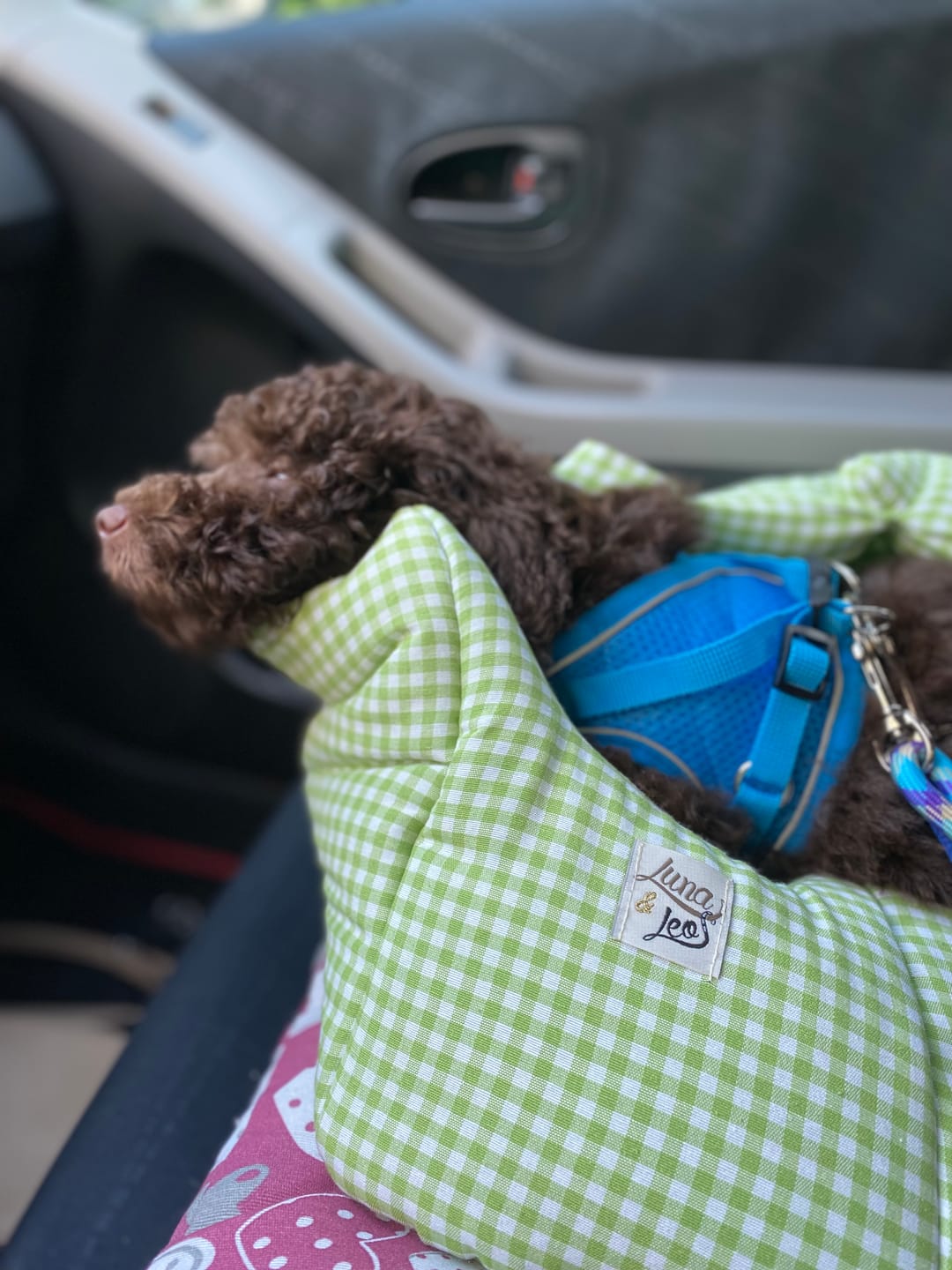 Customer photo review of Trasportino Cotone Vichy Verde Chiaro