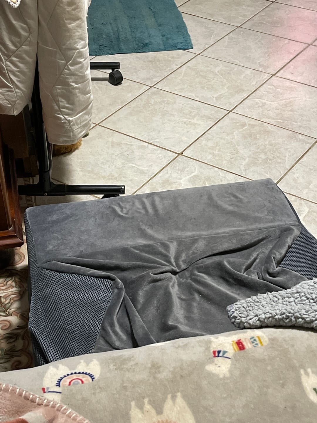 Customer photo review of PaWz Detachable Pet Stairs Grey