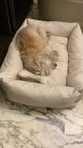 Customer photo review of Divanetto Cotone Righe Verde Chiaro