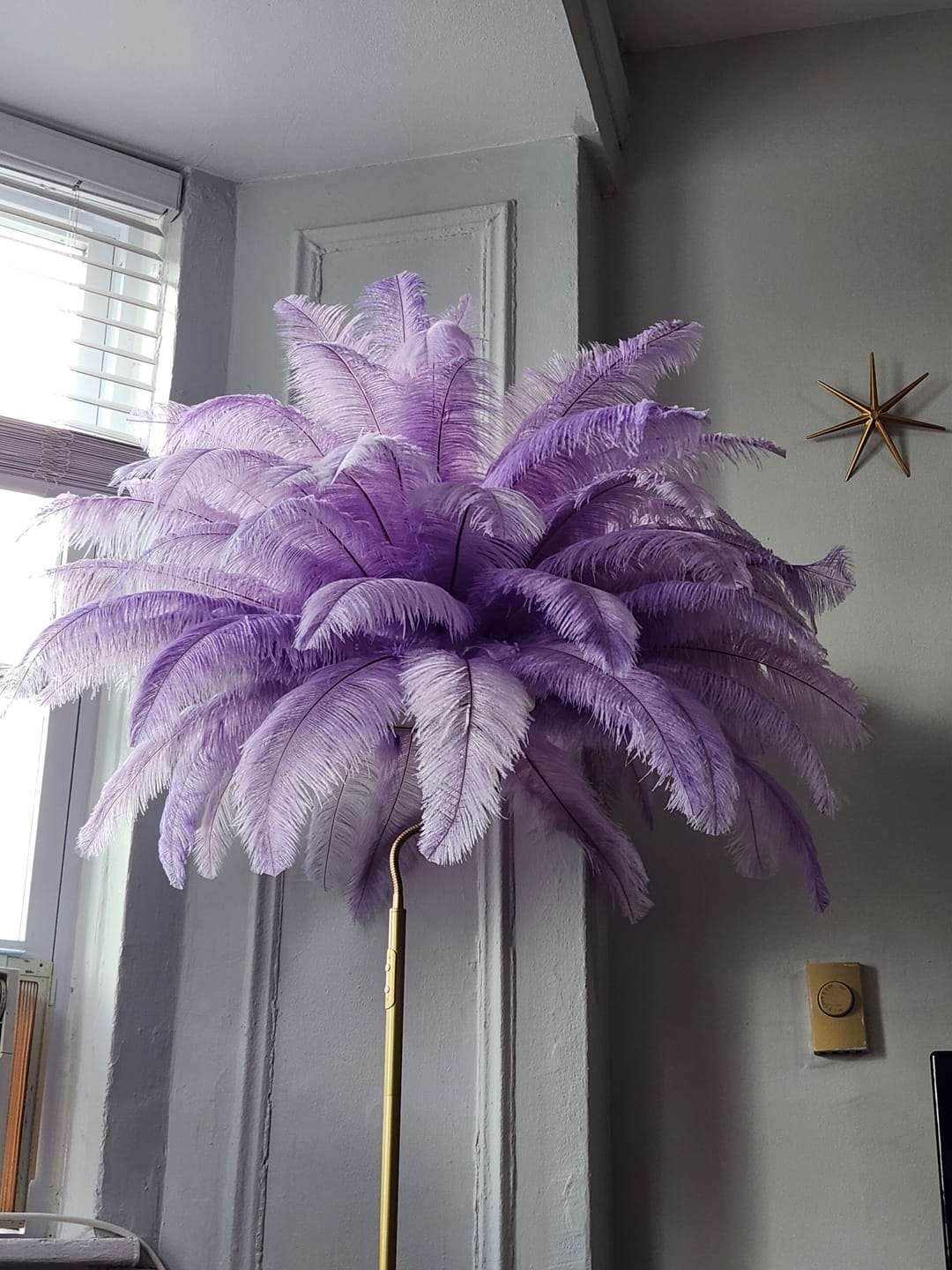 Customer photo review of Ostrich Feather Tail Plumes 17-20" (Lavender)