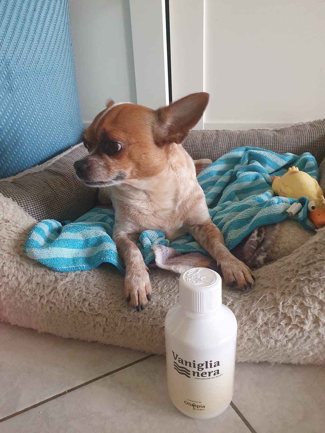 Customer photo review of Vaniglia Nera – Un Tocco di Dolcezza Materna