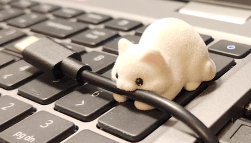 Customer photo review of Neko Bite Charger Holder