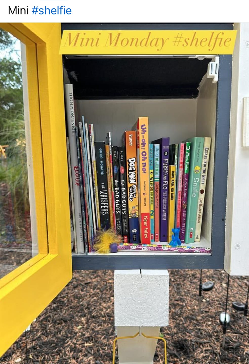 Customer photo review of Mini Shed Little Free Library