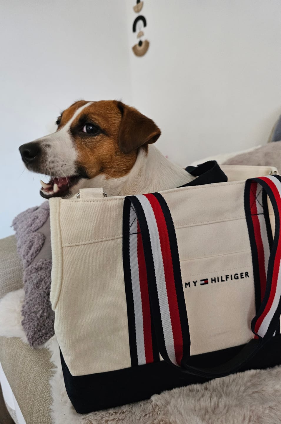 Customer photo review of Tommy Hilfiger Canvas Dog Tote Bag
