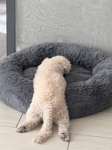 Customer photo review of Cama Antiestrés Para Perros