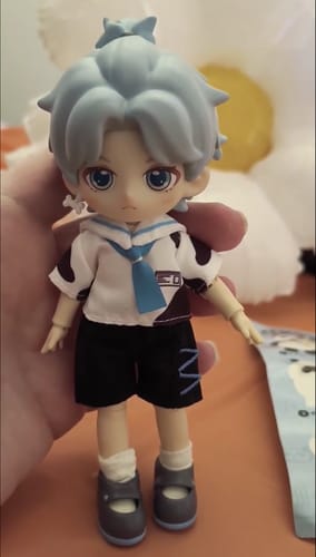 Customer photo review of PEETSOON Campus Male Classmates Series Action Figure BJD Blind Box