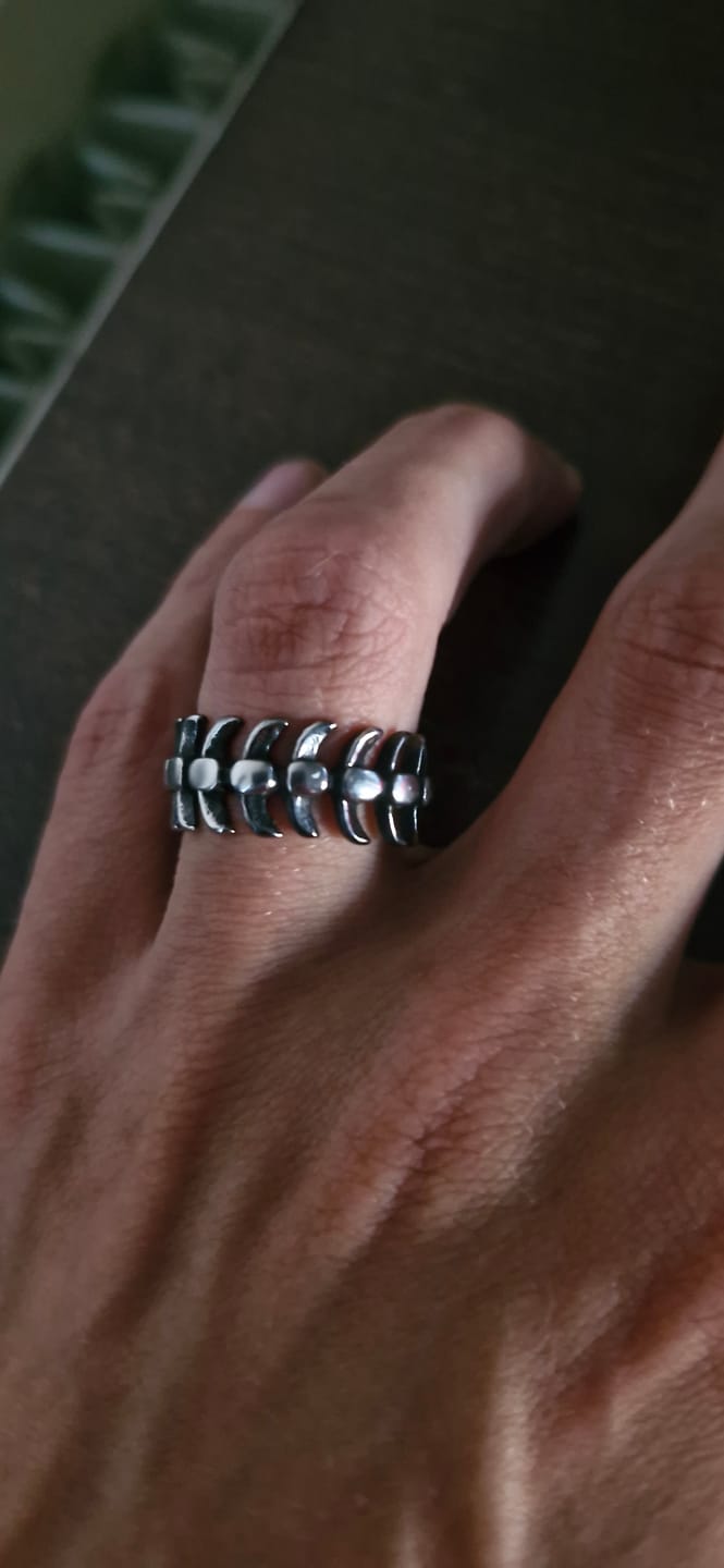 Customer photo review of STEEL SPINE.