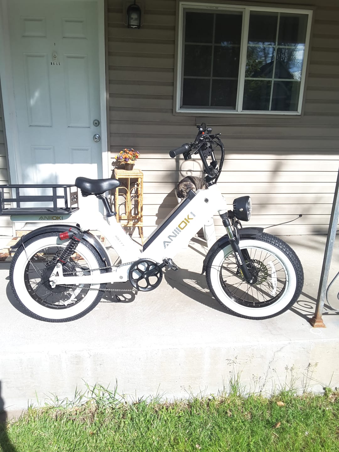 Customer photo review of AQ177 Pro Max Dual Motor Ebike