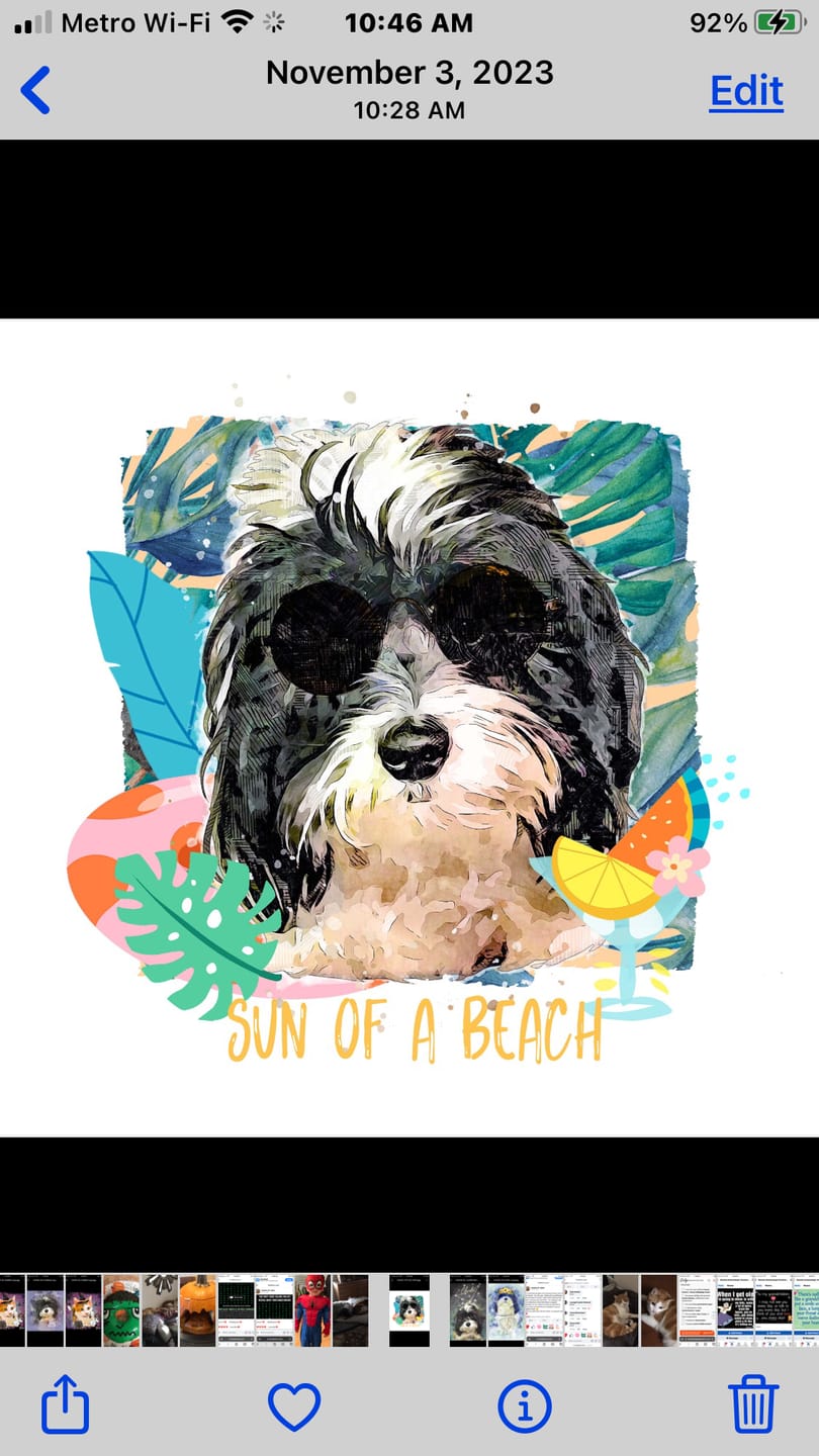 Customer photo review of Pet Pop Art - Summer 2024 (SC)