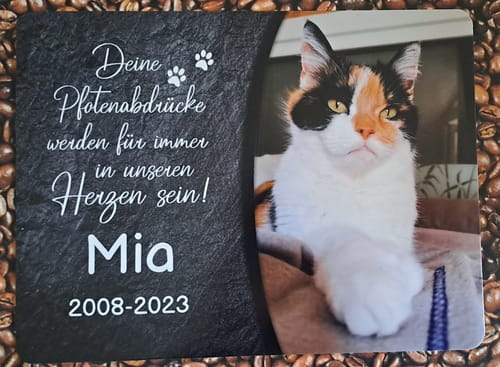 Customer photo review of Katzen Gedenktafel mit Foto & Spruch (UV- & Wetterfest)