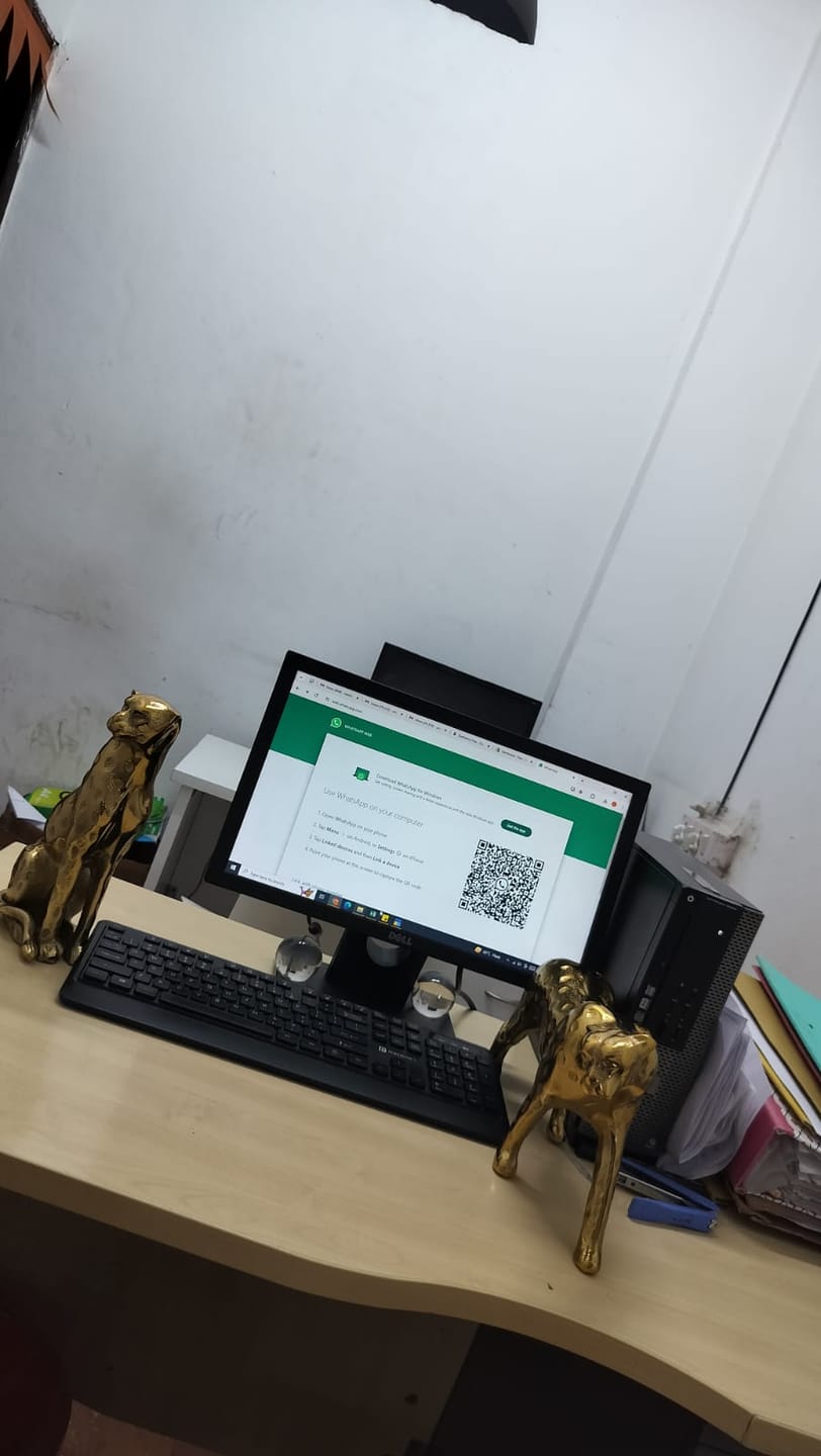 Customer photo review of Blaze Decorative Cheetah Set of 2