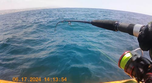 Customer photo review of 7ft Fishing Rod for Jigging (Spinning)