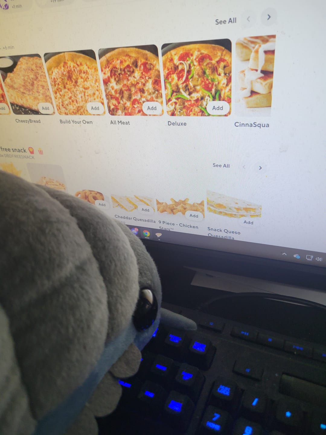 Customer photo review of Isopod Plushie (2 COLORS, 2 SIZES)