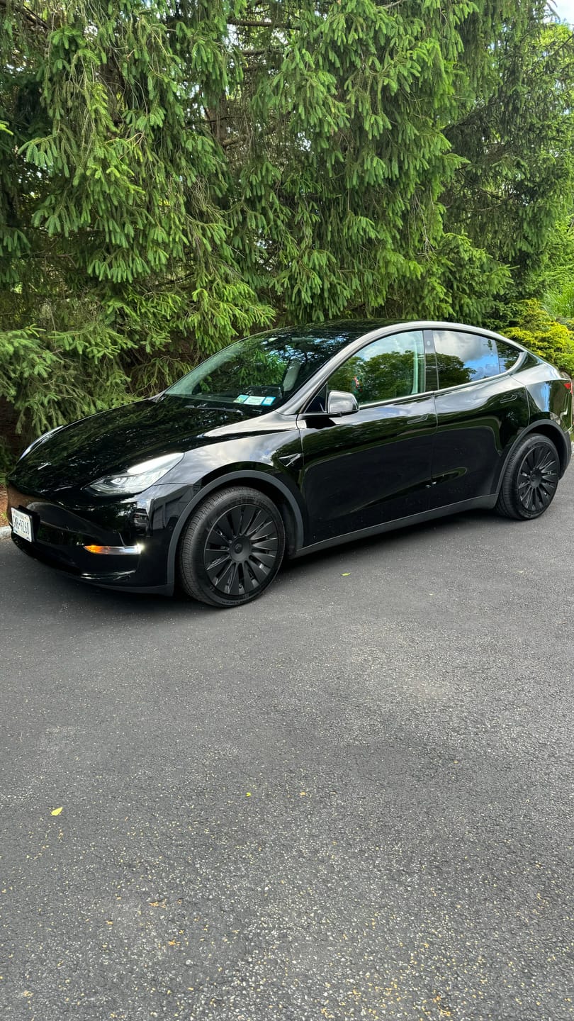 Customer photo review of TESPLUS 19'' Blade Style Wheel Cover for Model Y
