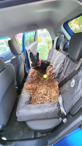 Customer photo review of Car Seat Cover