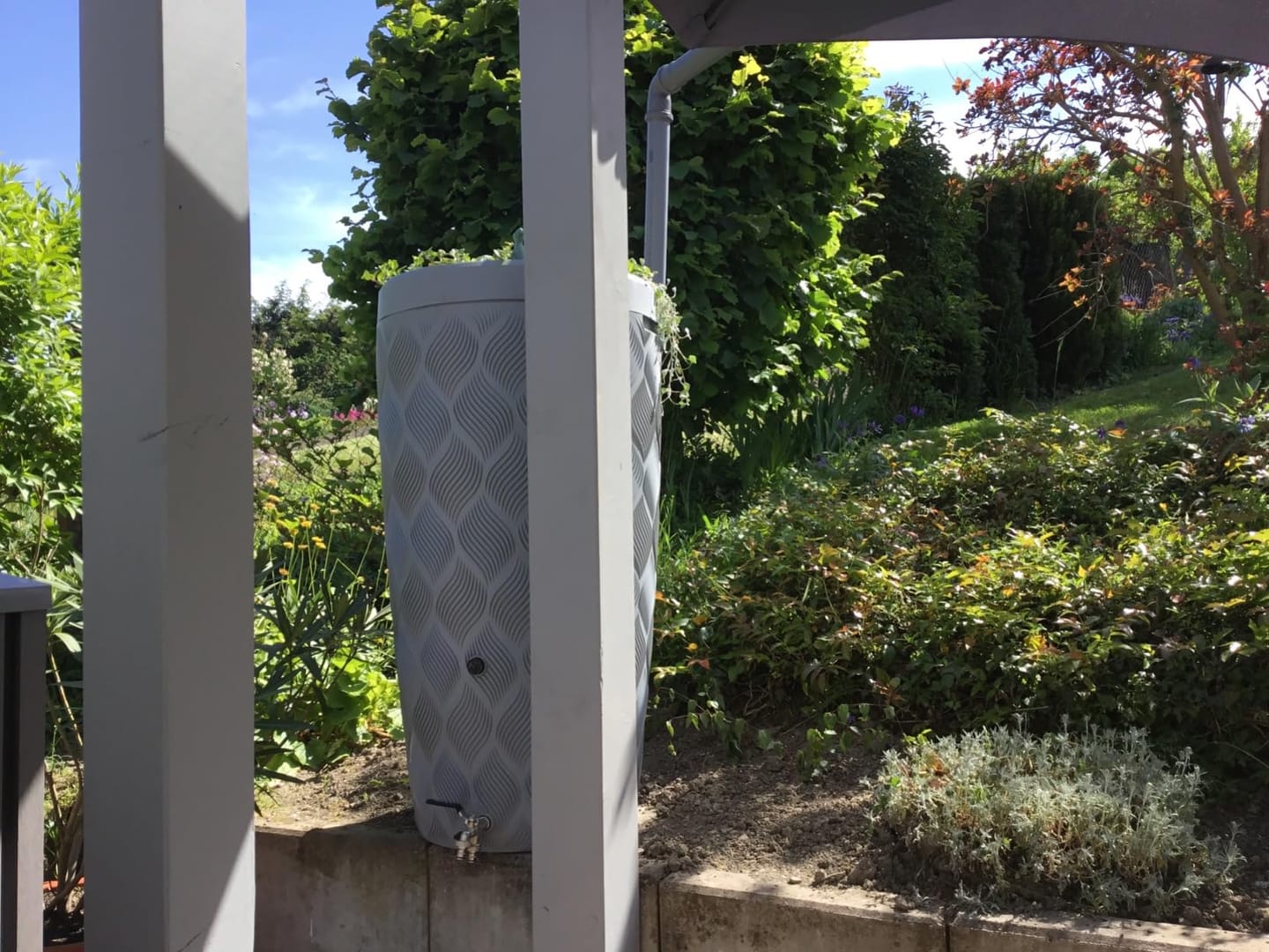 Customer photo review of YourCasa Regentonne 240 Liter [Seabreeze Flower] - Nachhaltige Bewässerung im Garten