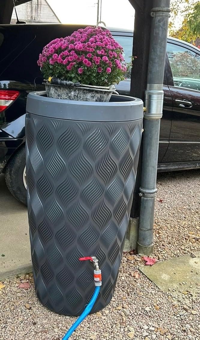 Customer photo review of YourCasa Regentonne 240 Liter [Seabreeze Flower] - Nachhaltige Bewässerung im Garten