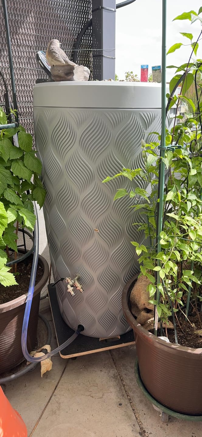 Customer photo review of YourCasa Regentonne 240 Liter [Seabreeze Flower] - Nachhaltige Bewässerung im Garten