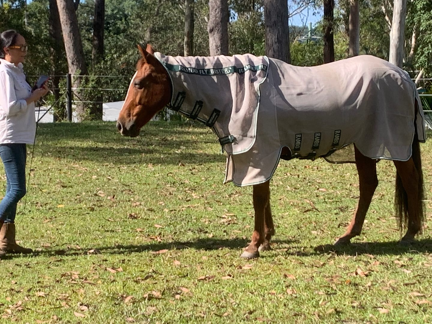 Customer photo review of Rambo Flybuster Vamoose NFZ